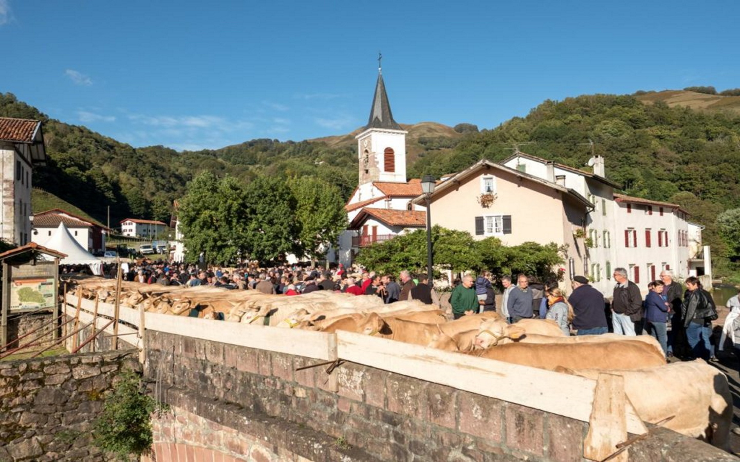 Portes ouvertes de la vallée des Aldudes - Animations Banca