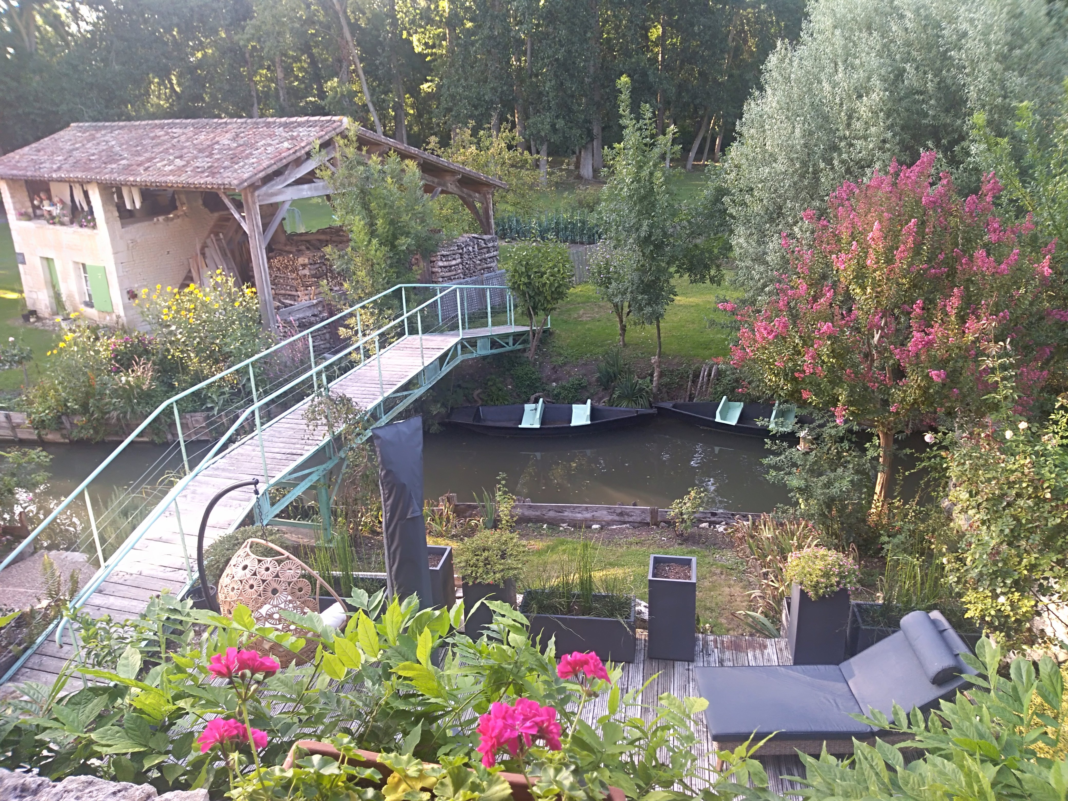 Le Trèfle d'eau ( )