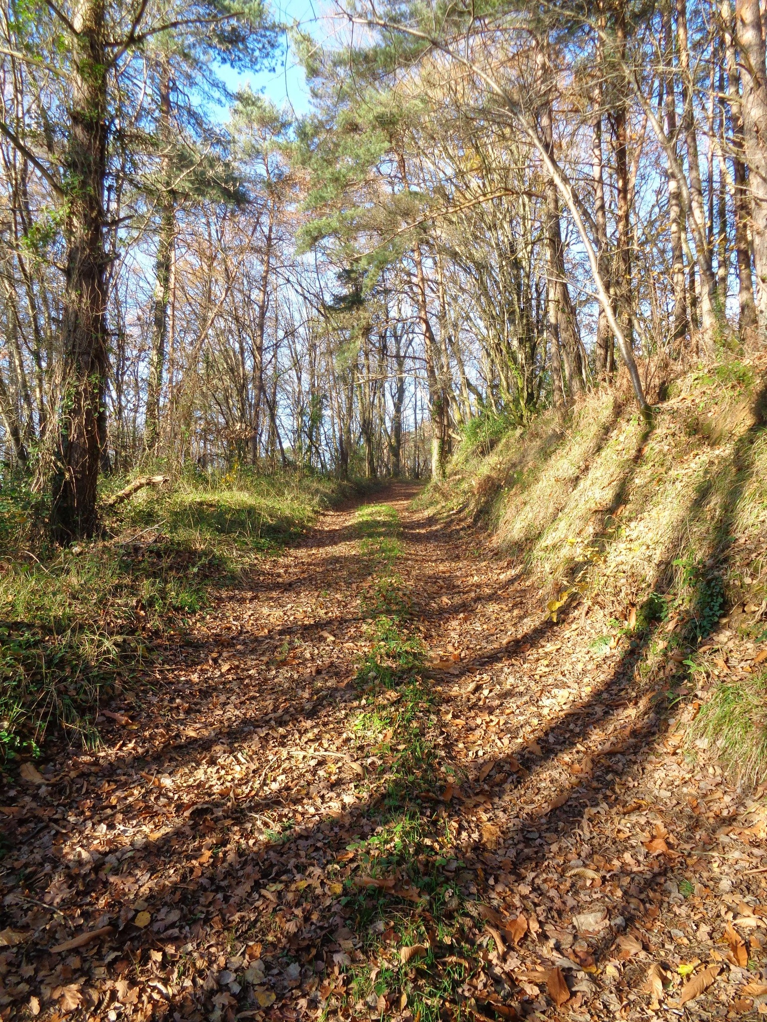 La Cafoulière - VTT