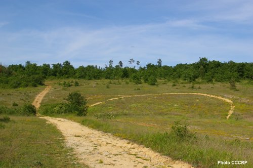 Rando Causse de Savignac - Illustration 2