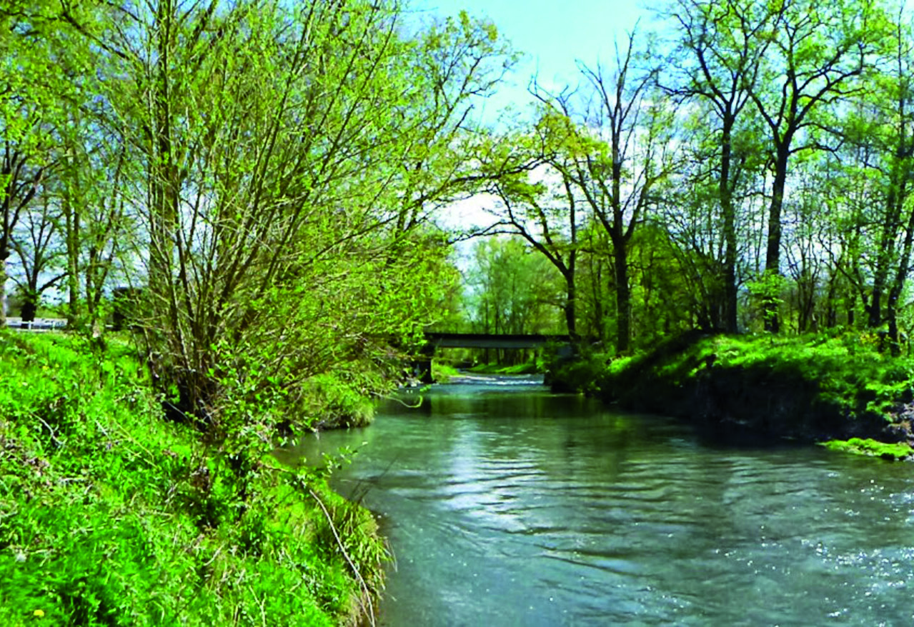 Bois de Haüt