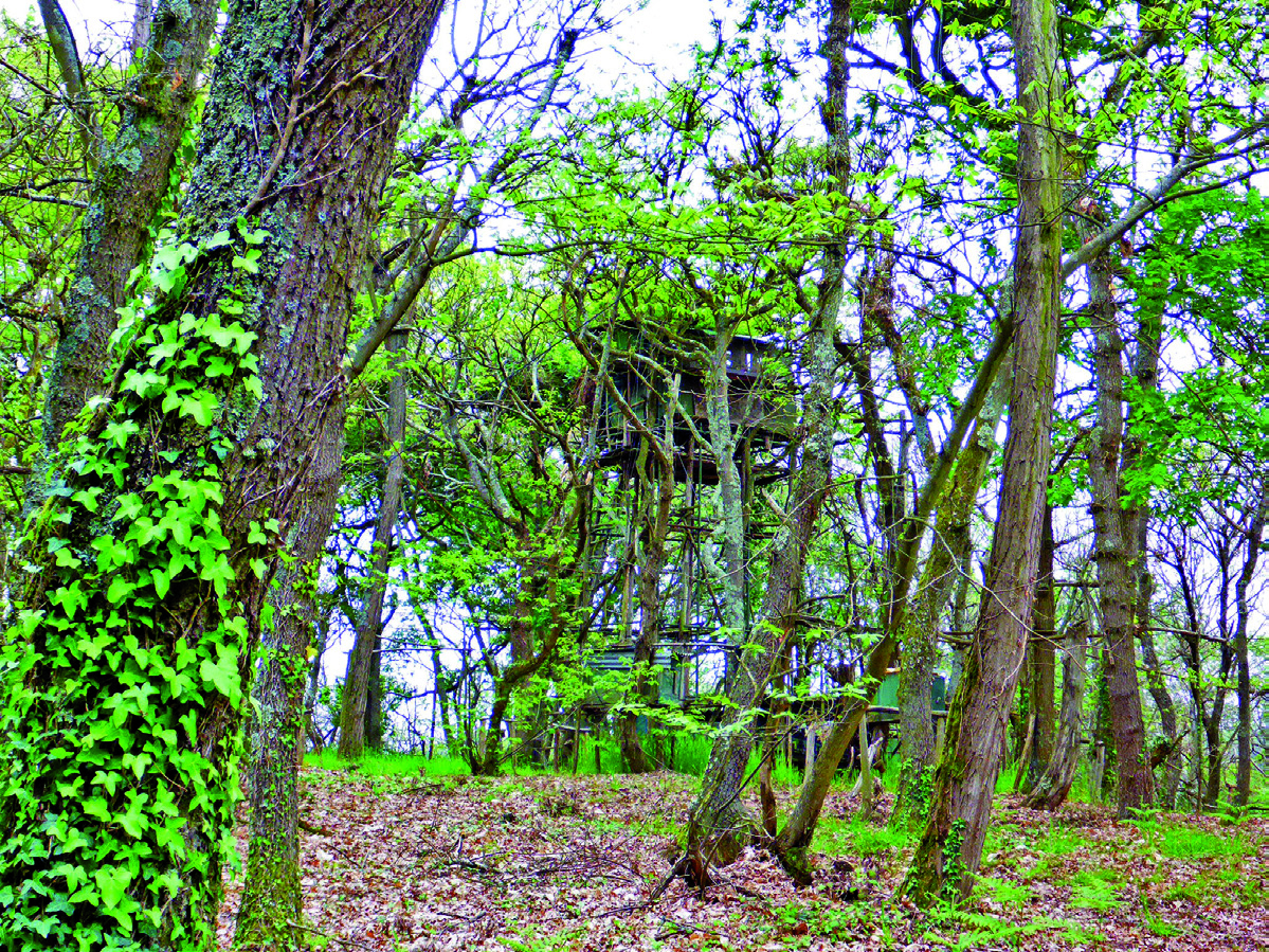 Bois et landes d'Urdès