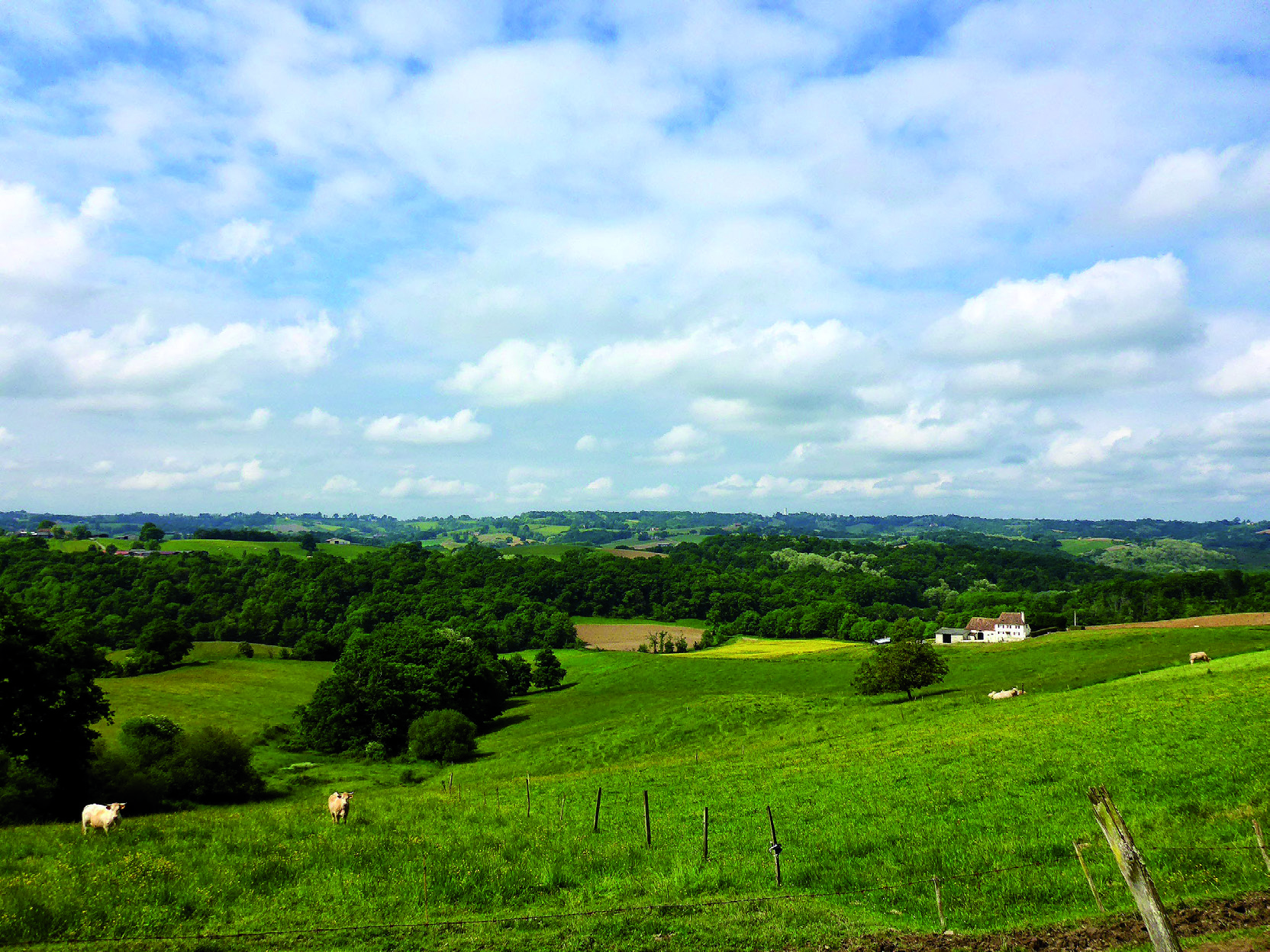 Sur les voies de Vézelay