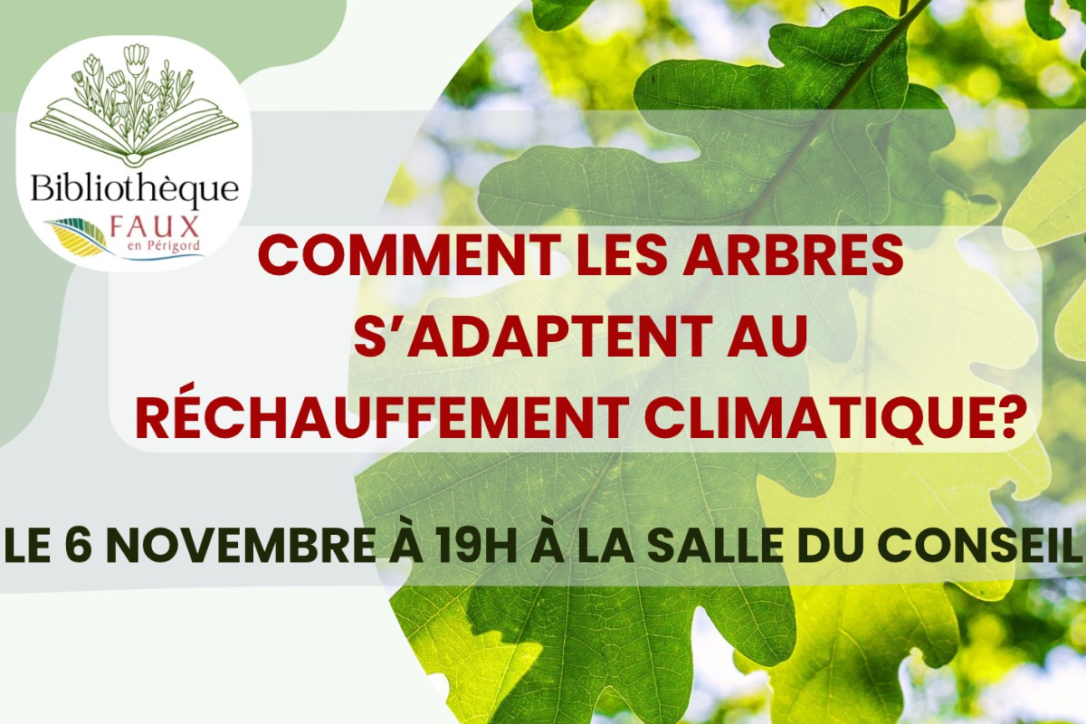 Rencontre avec Antoine Kremer