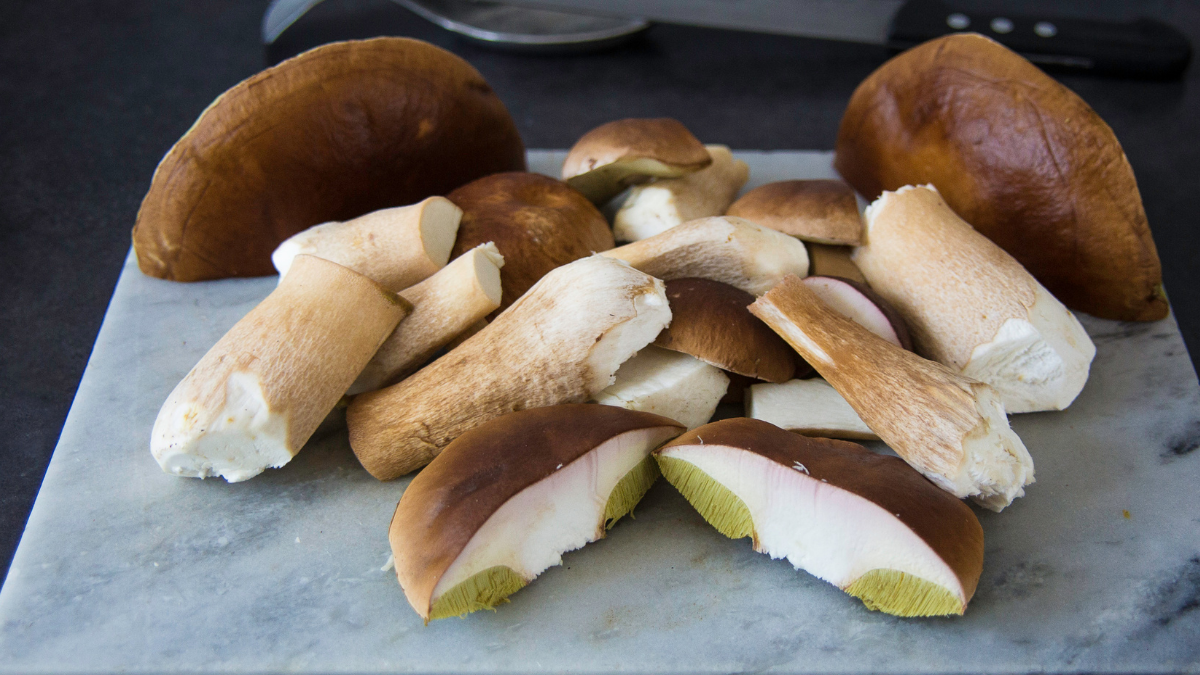 Repas d'Automne