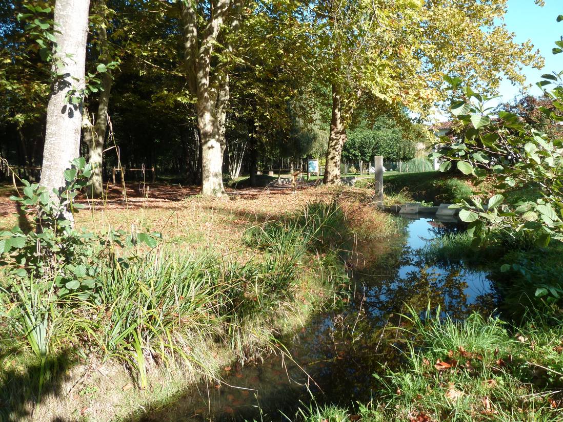 Balade à Roulettes n°22 Le bois de la ville à Saint-Palais