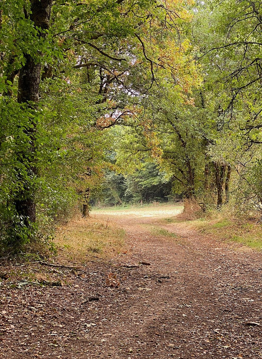 SAINT JORY LASBLOUX-Boucle des mines et carrières-chemin