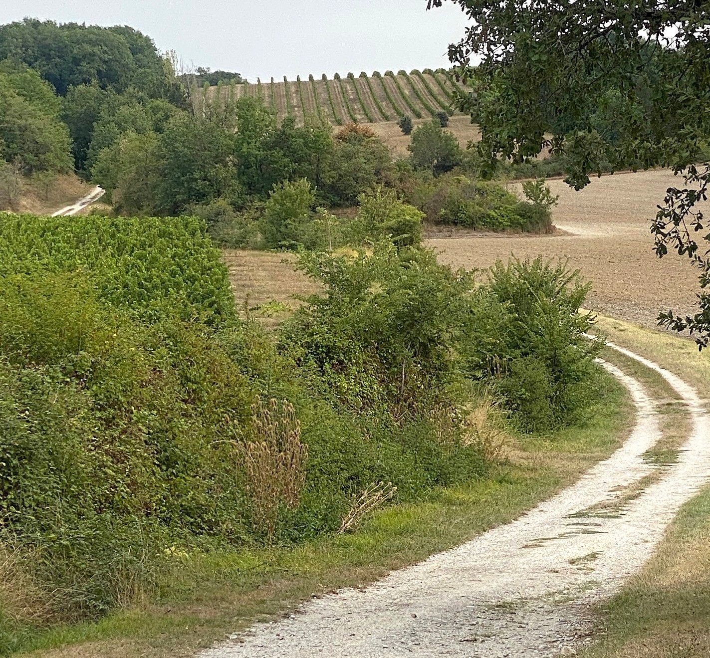Boucle de Saint Julien