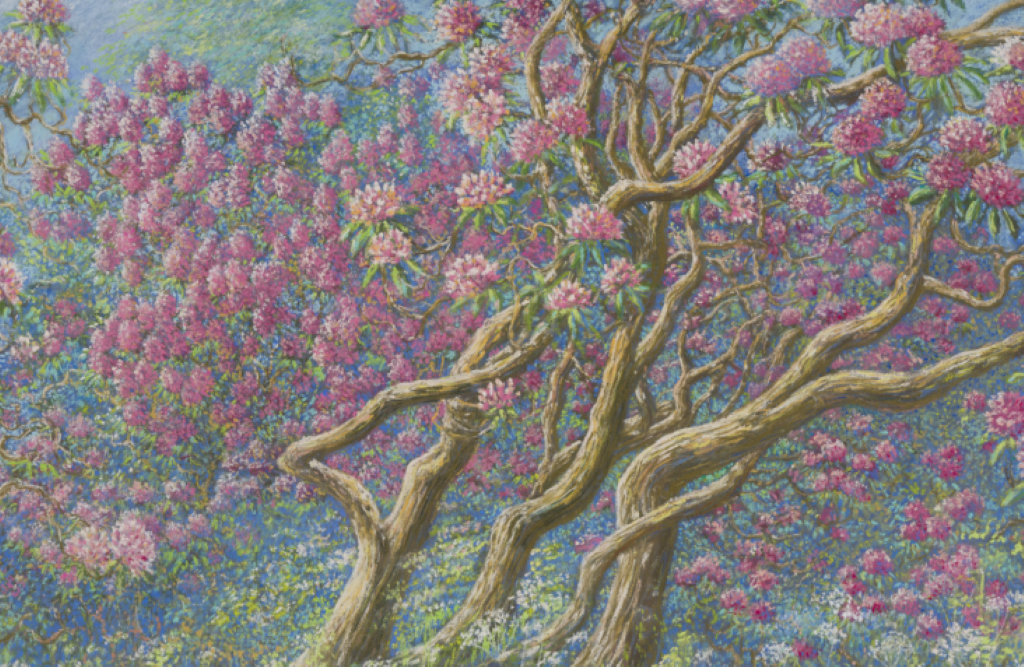 SALON HABITAT du Bergeracois