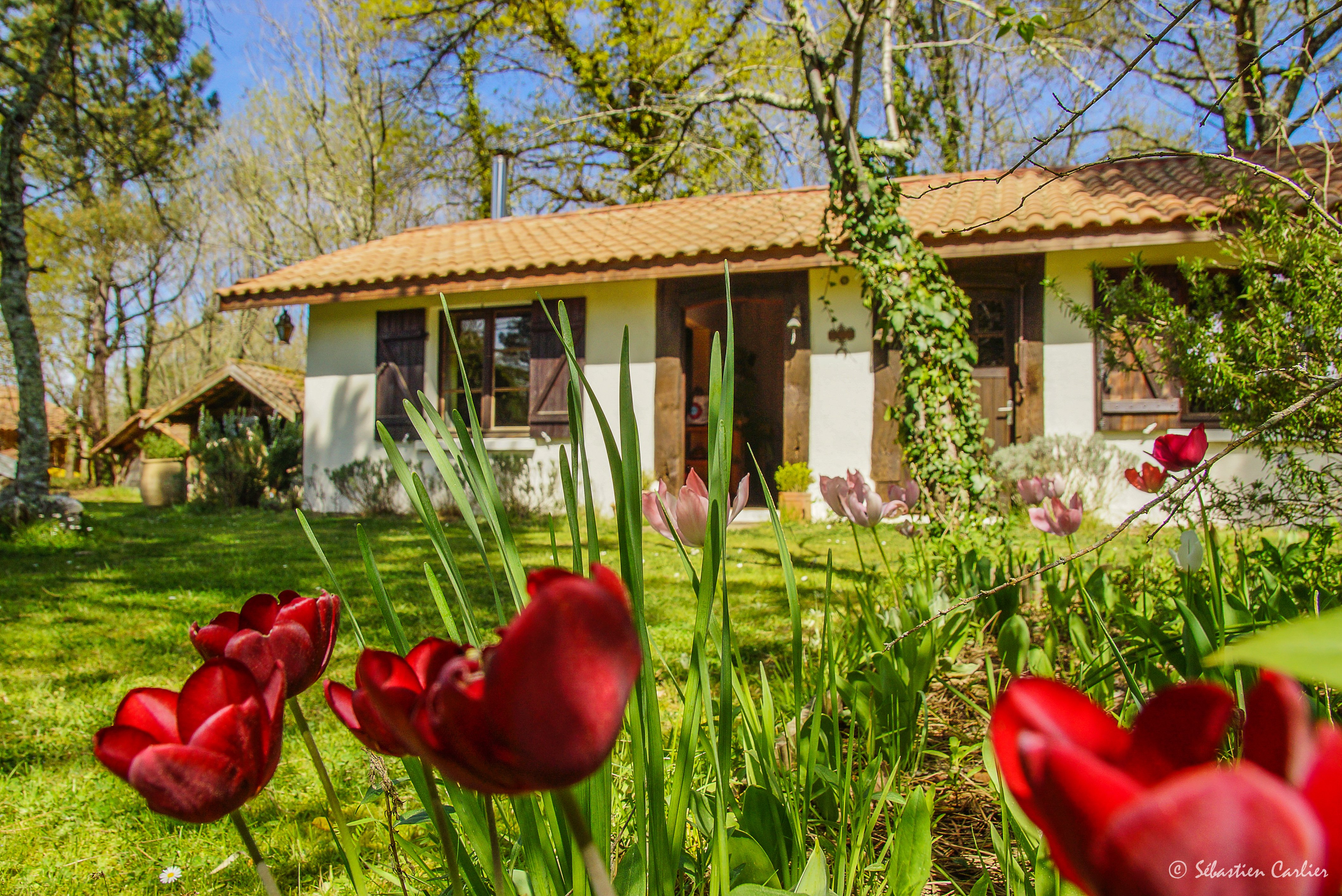 Escale à Montauzey