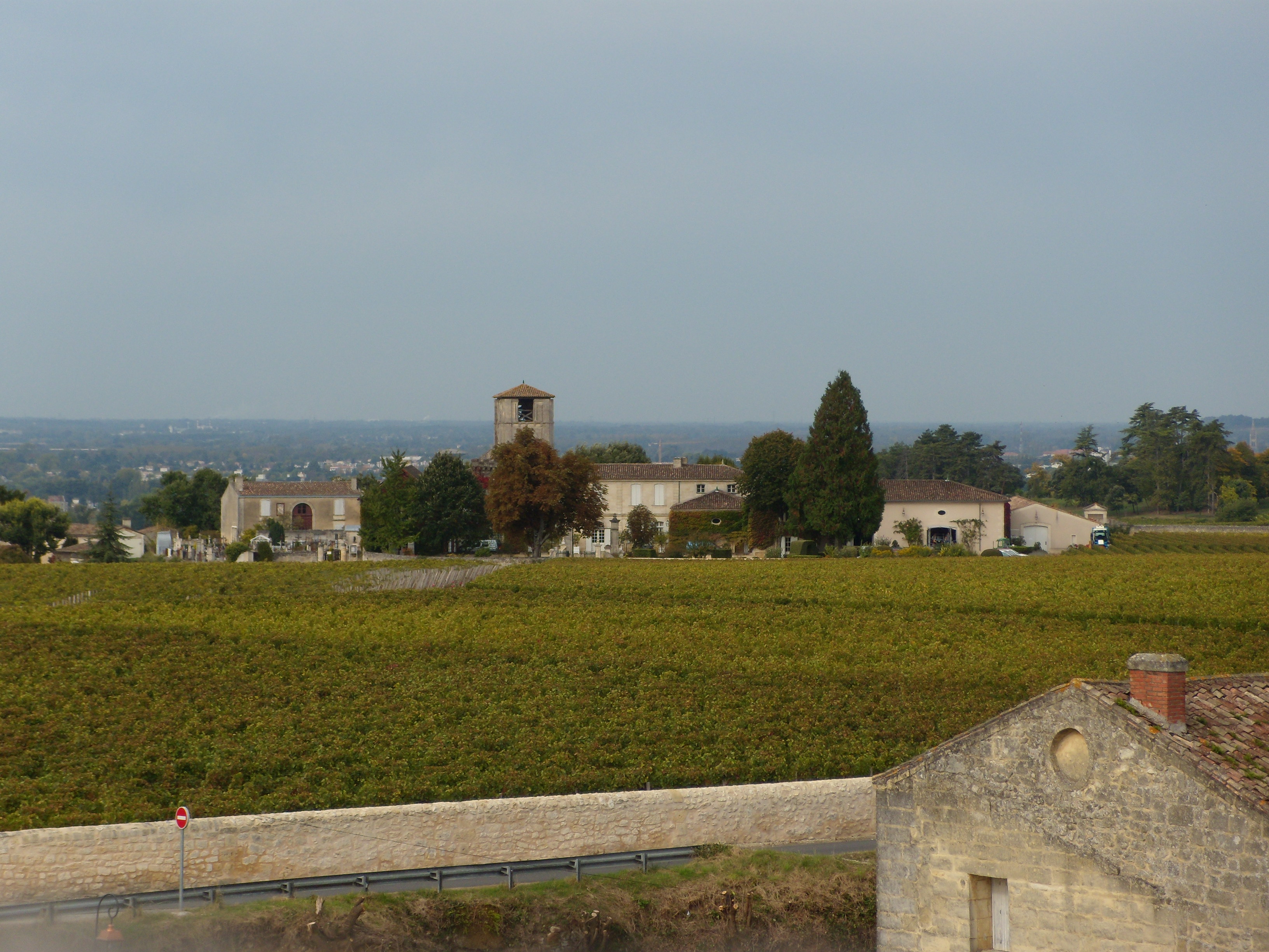 Visita a piedi : La Strada del Vino Biologico