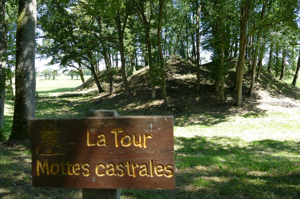 Les 1001 vues