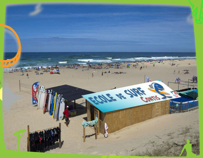 Ecole de natation et Club de plage les P'tits loups