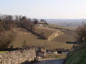 Circuito ciclico: Proprietà di famiglia