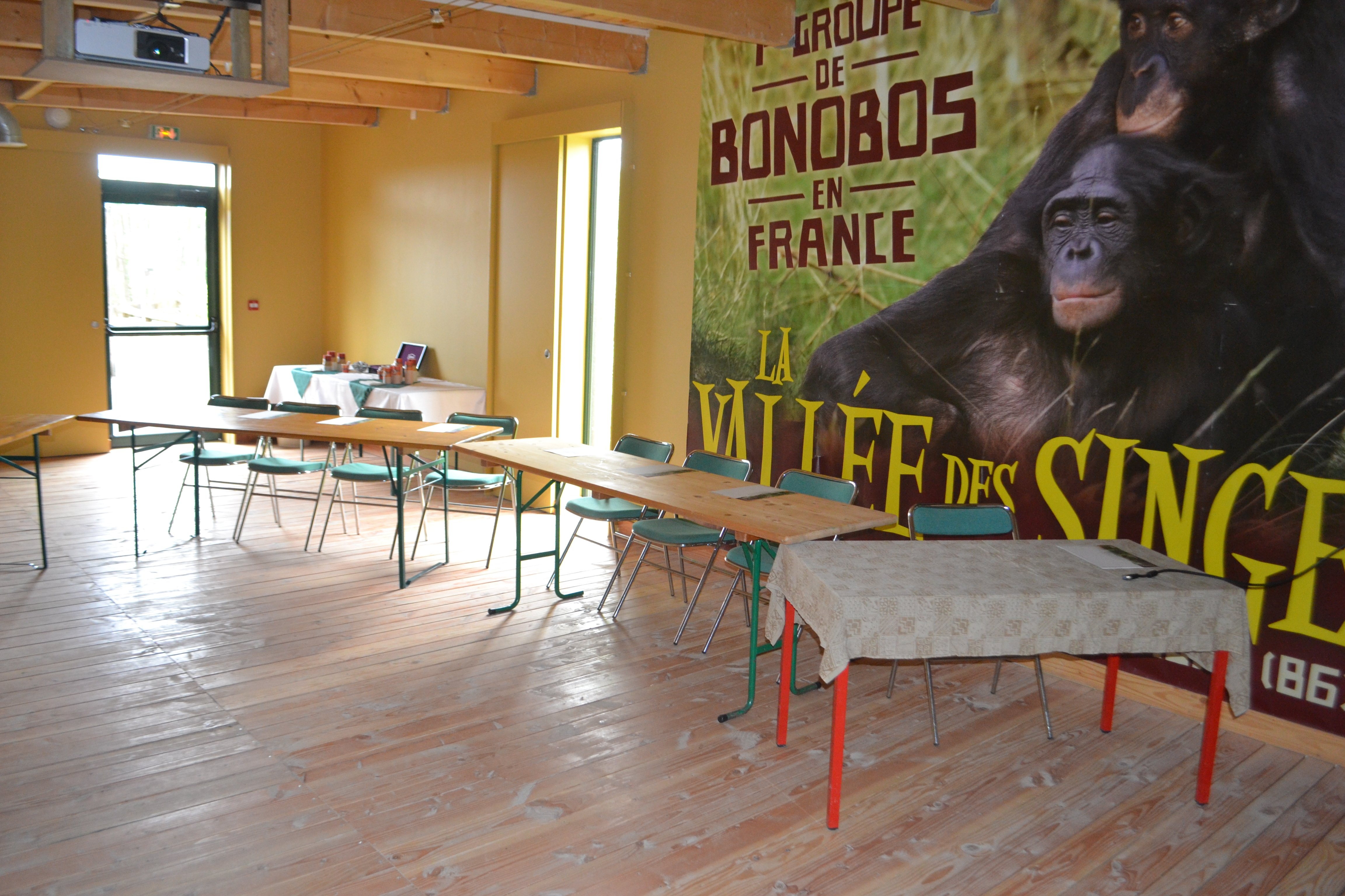 La Vallée des Singes - Lieu pour événements professionnels à Romagne - Séminaires et congrès avec La Vienne Destination Affaires (LVDA)