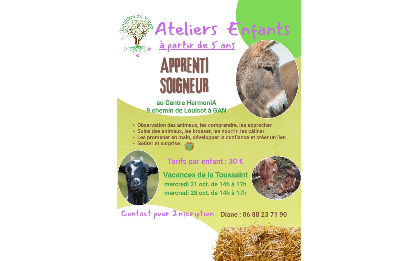 Atelier enfants "apprentis soigneurs"