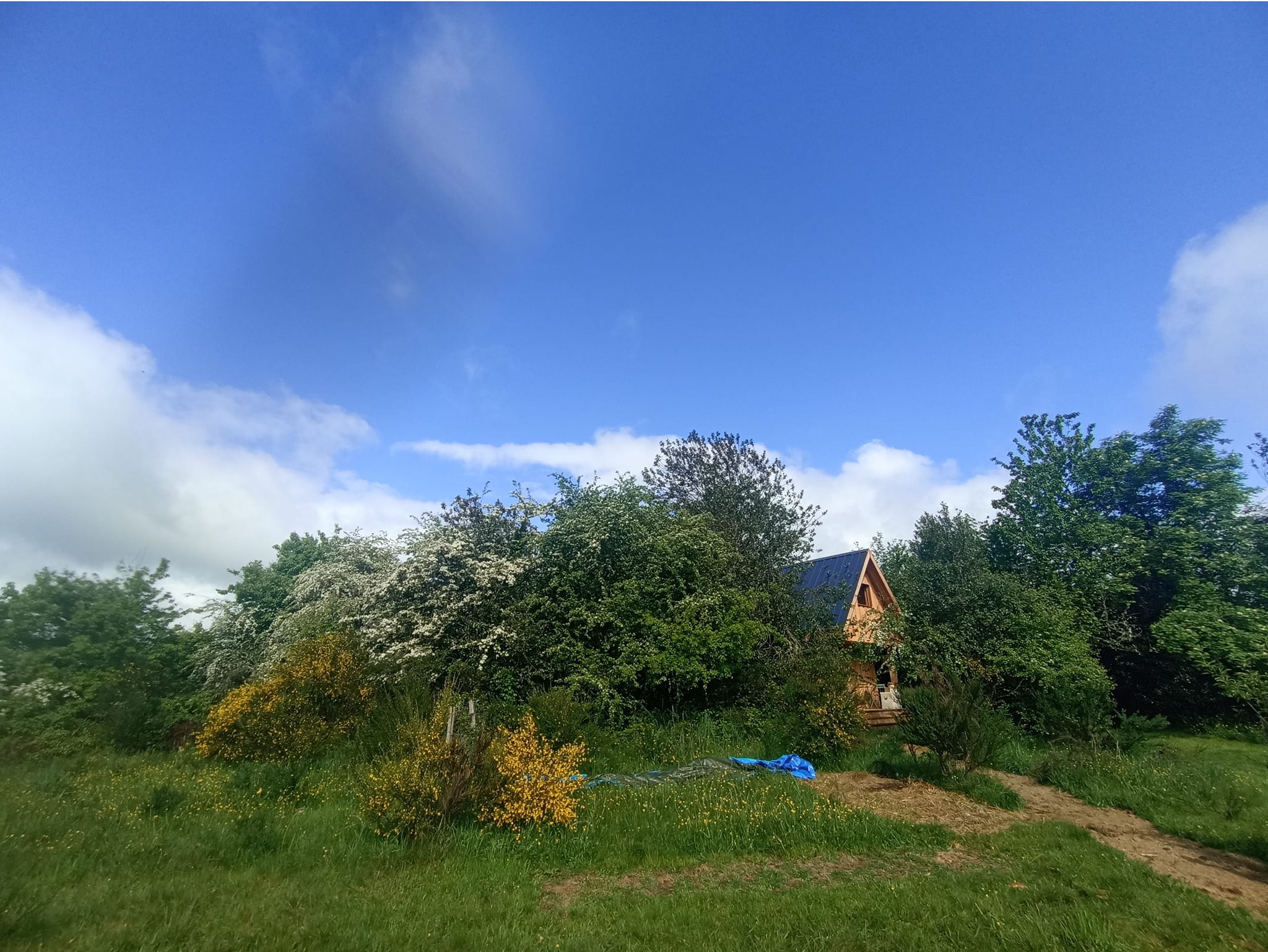 Cabane insolite à la ferme