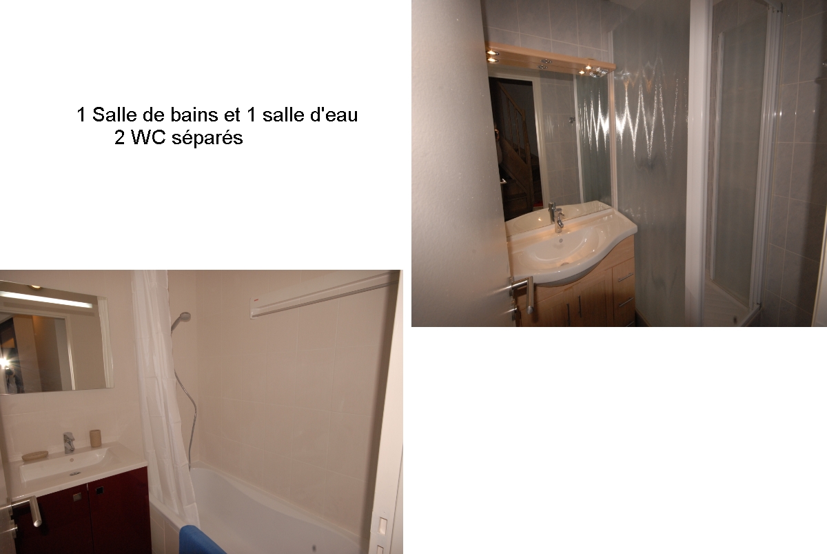 Les Primevères Pri61
