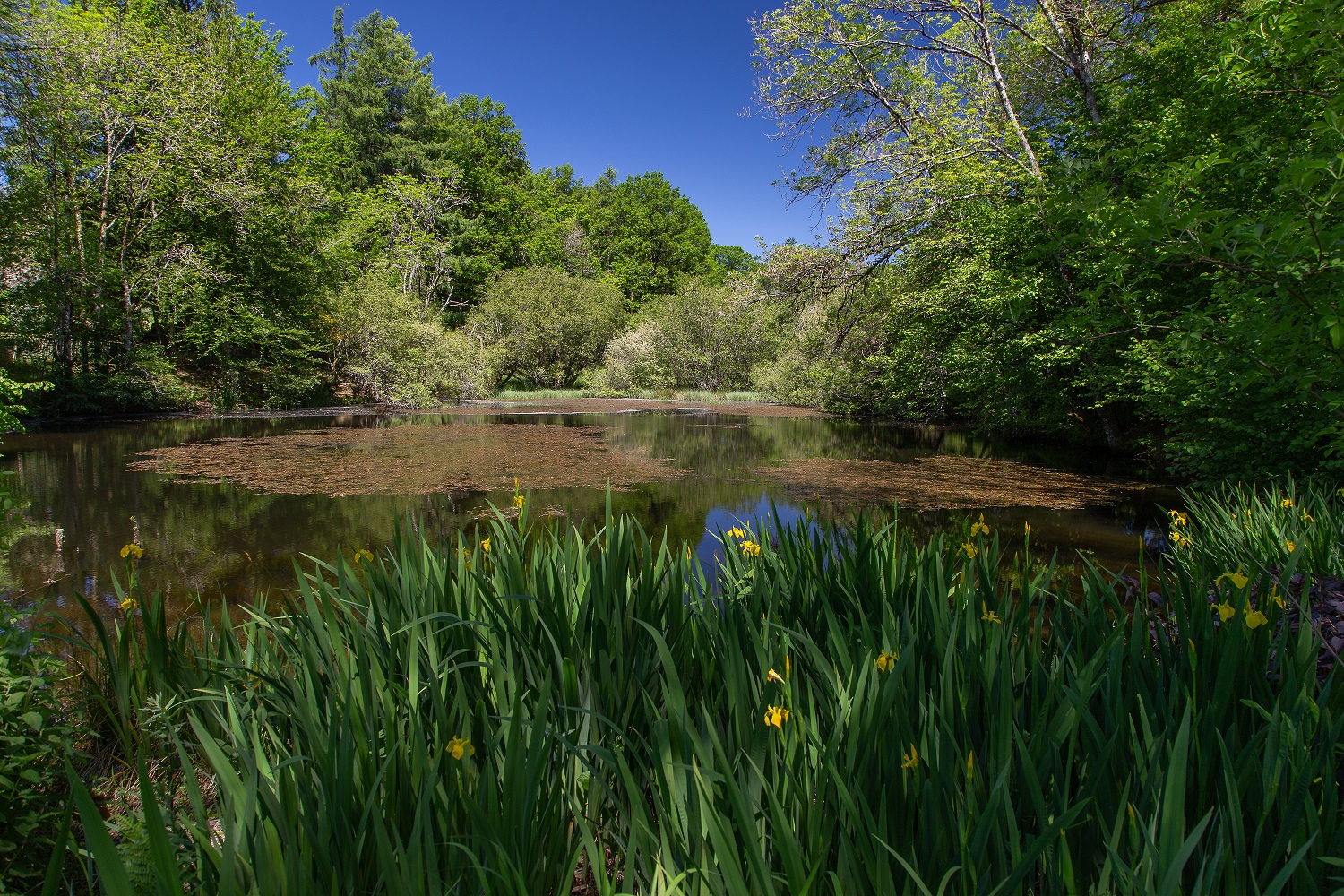 Lac de Séchemailles