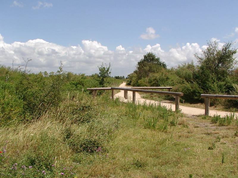 Le sentier du littoral de Gujan-Mestras