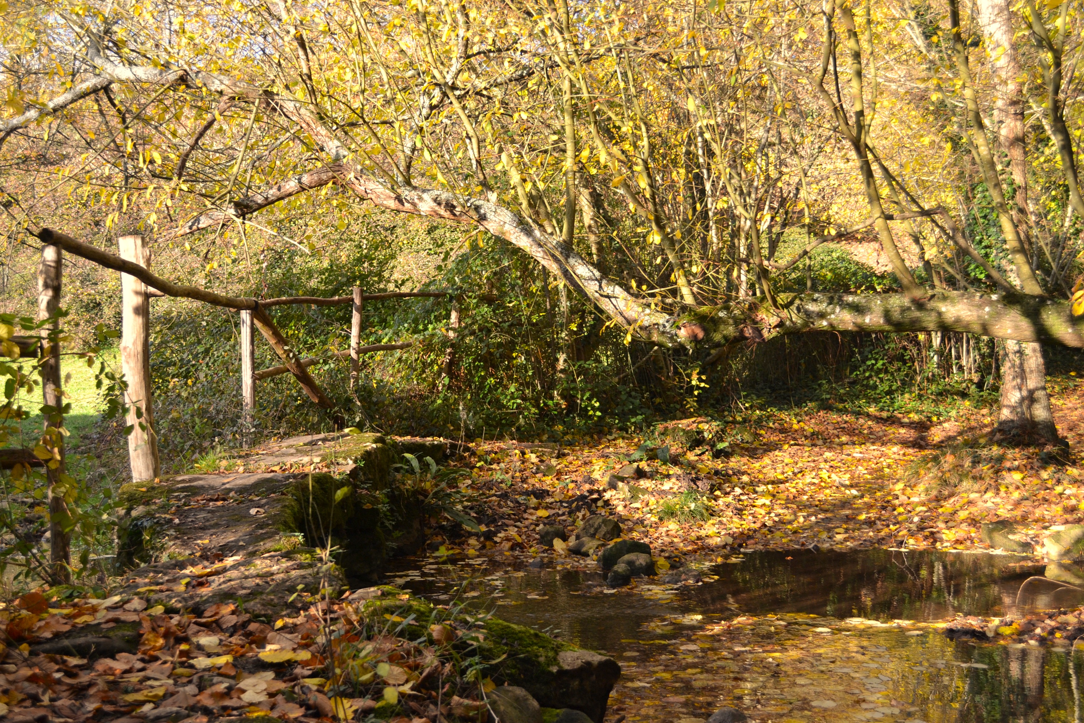 Sentier huguenot - Beaussais