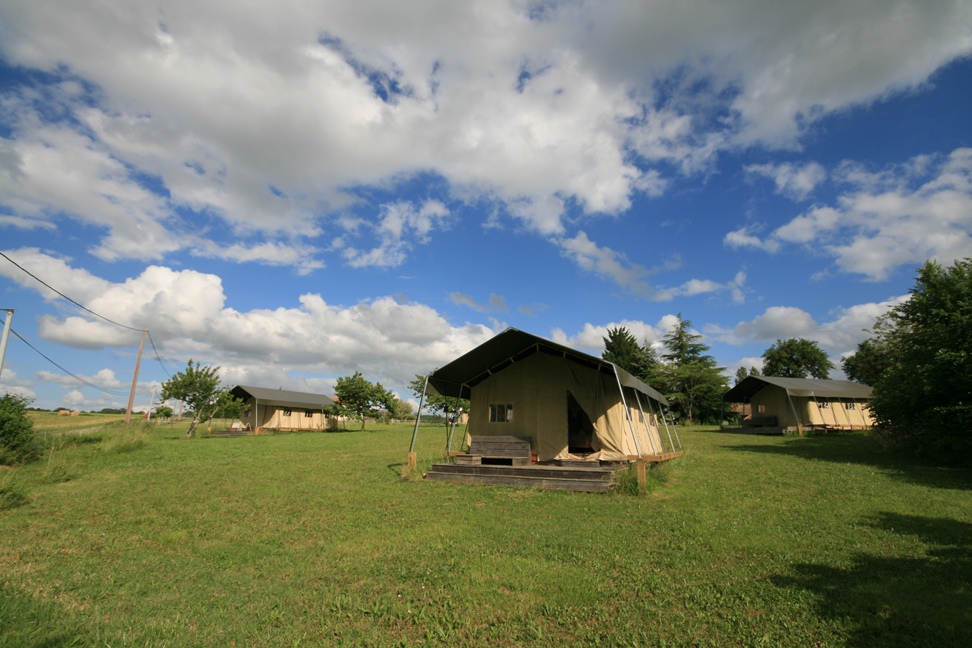 Camping Simply Canvas