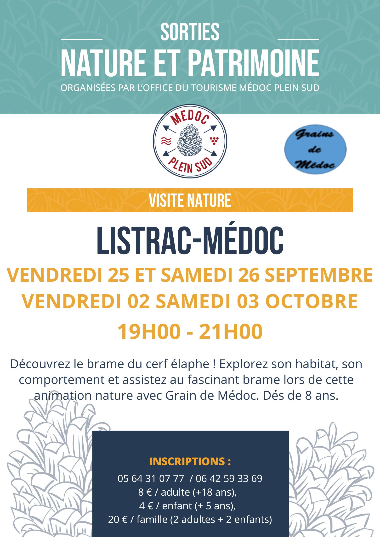 Sortie nature. À l’écoute du brame du cerf !