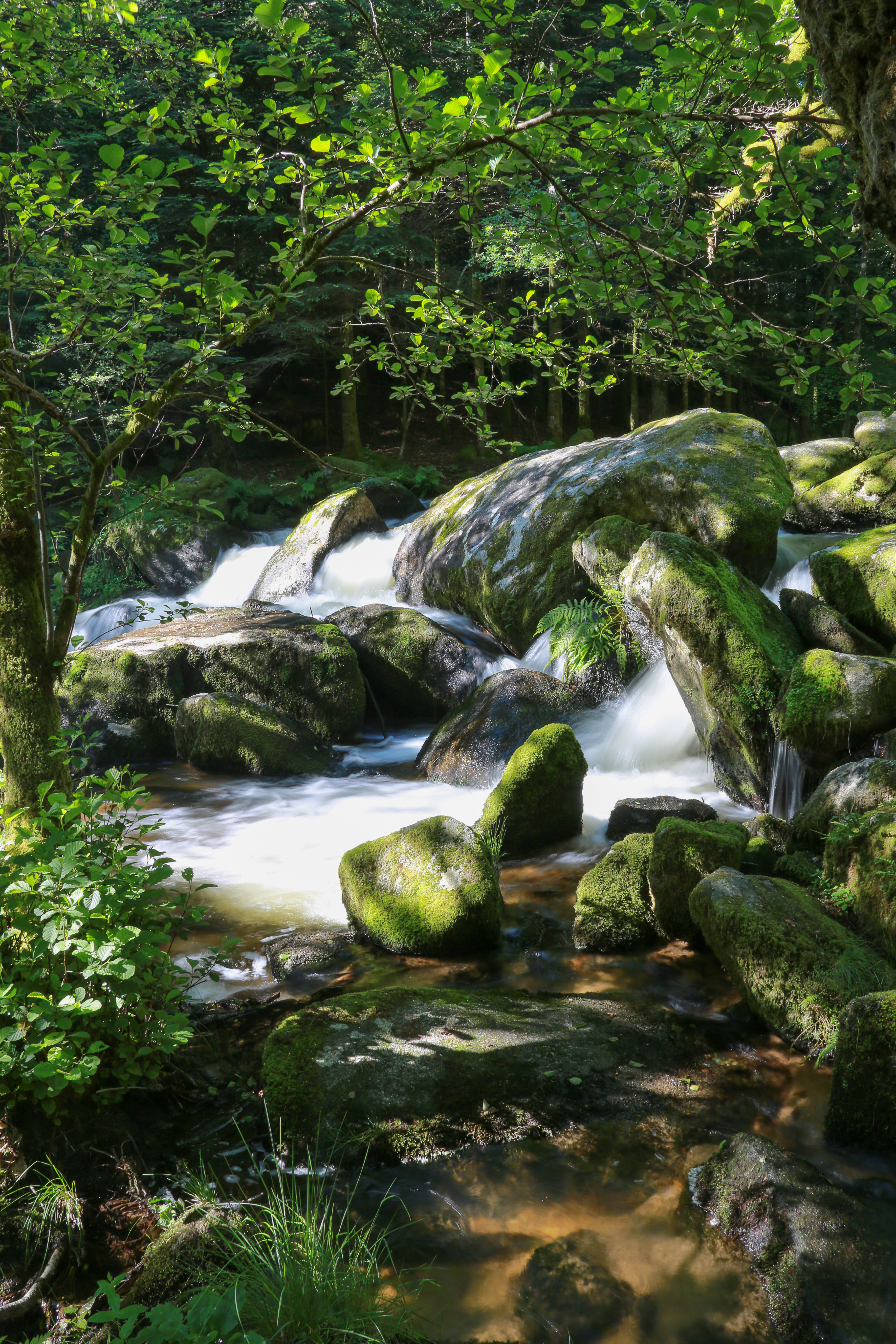 Cascades et moulins du Deiro