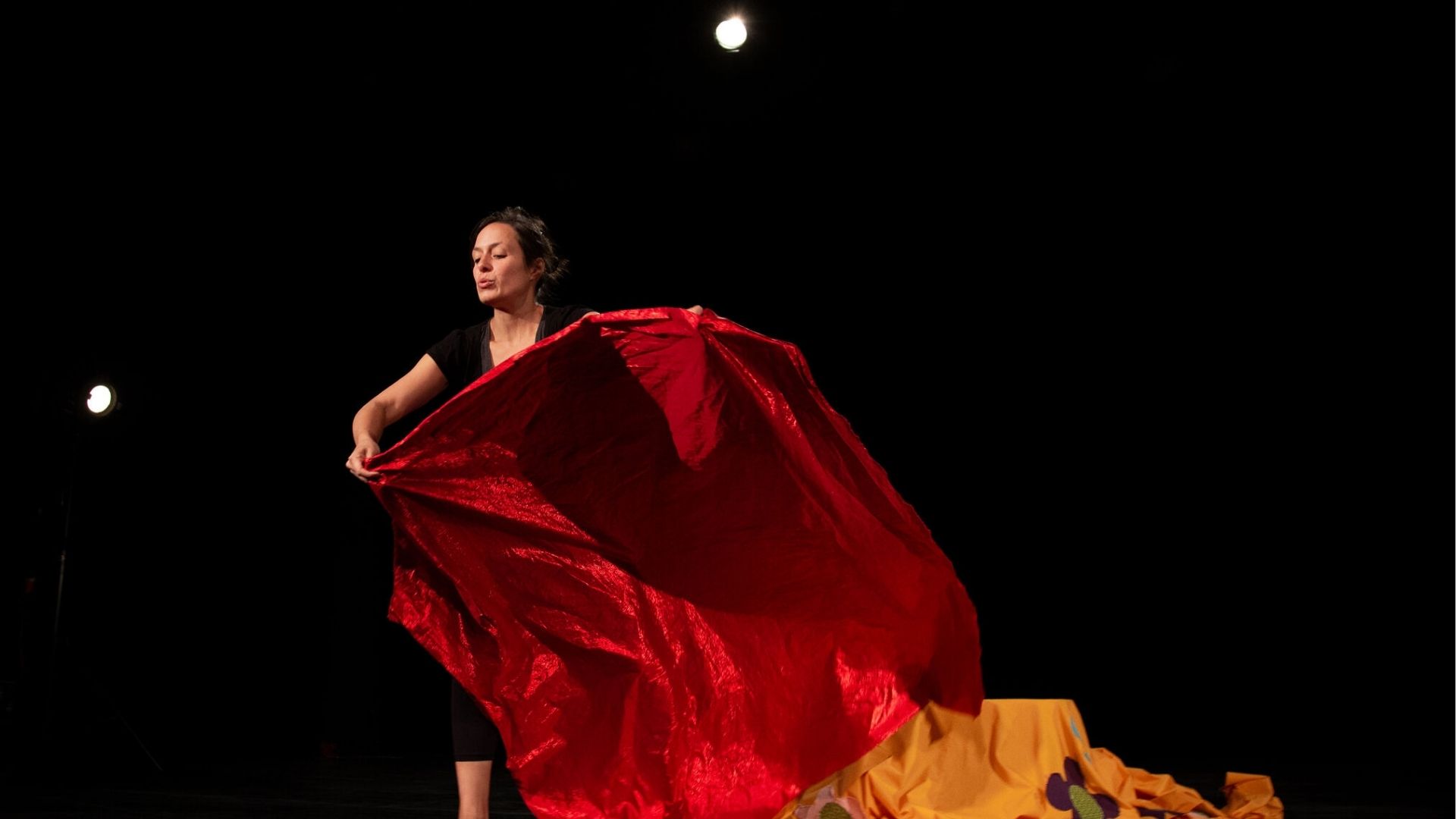 Spectacle : Moi je ne suis pas un éléphant