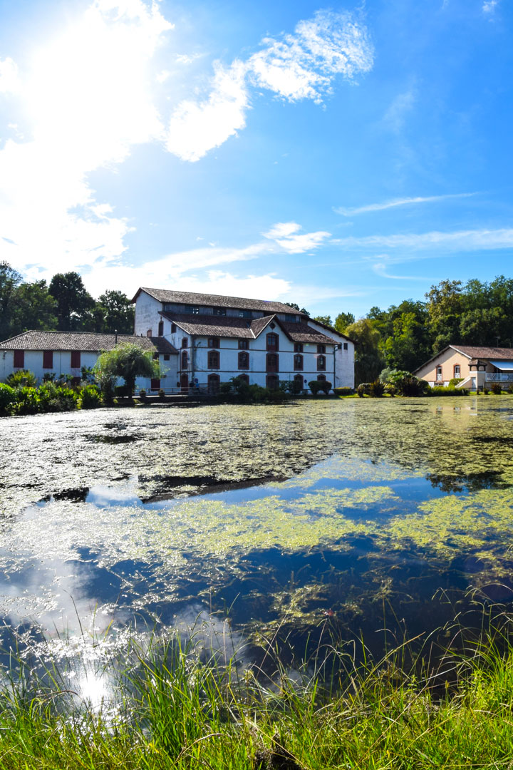 Sur les traces des forges