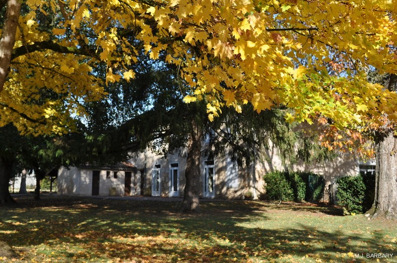 StVincent_com_automne