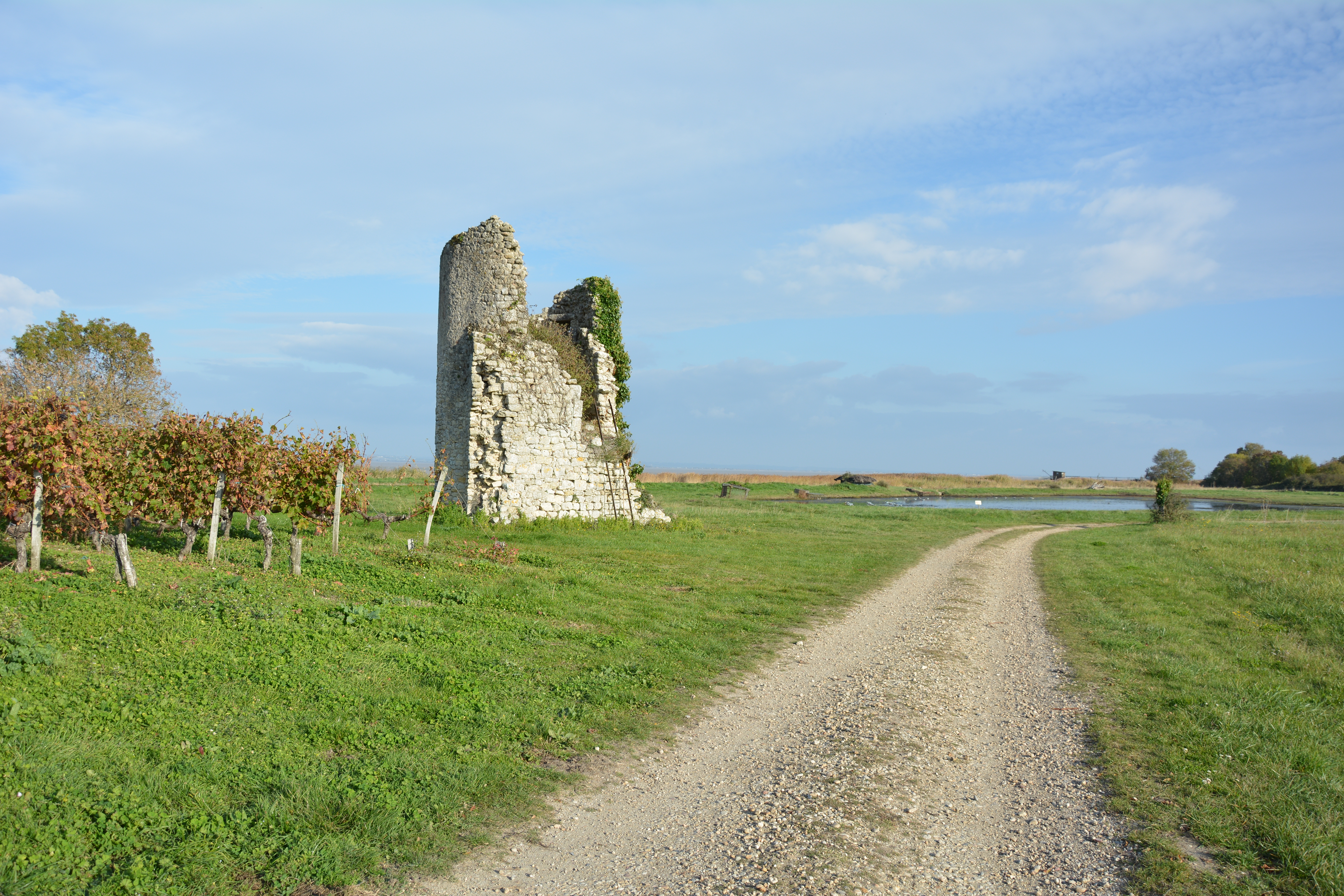 Tour Castillon