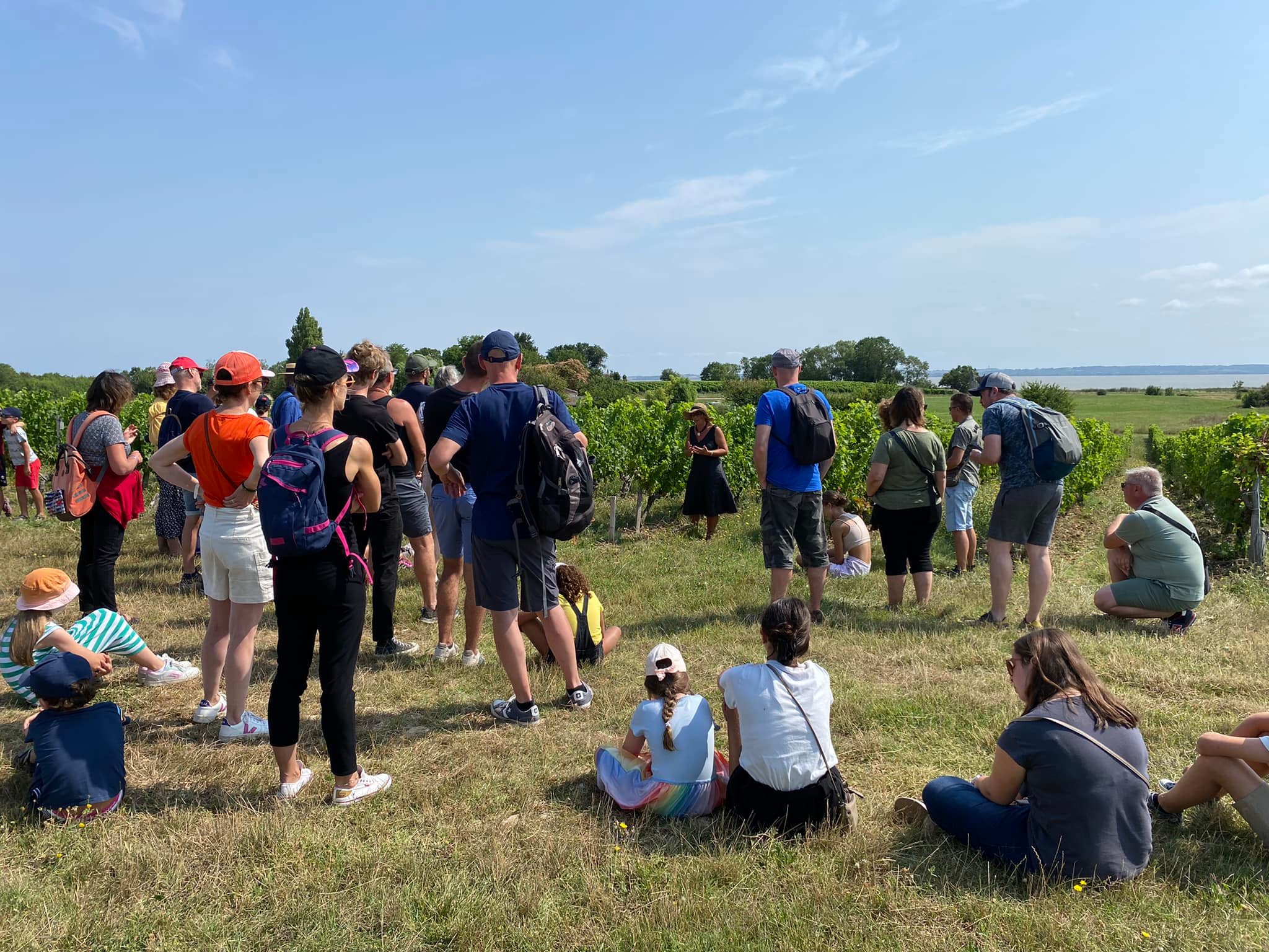 Vignobles en Scène : L'Échappée Vigneronne au château Tour Castillon