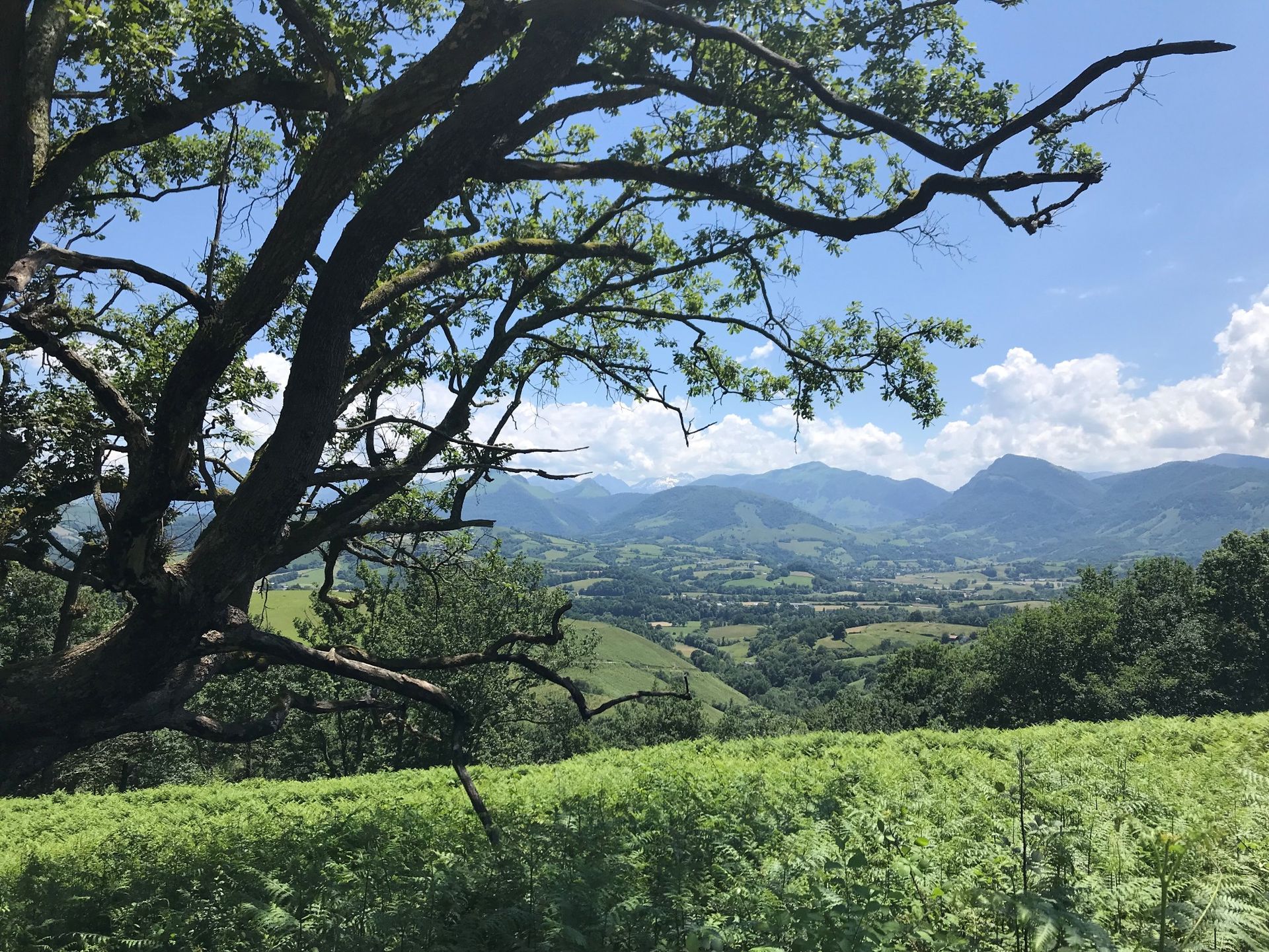 VTT N°3 Tour de Lanne-en-Barétous
