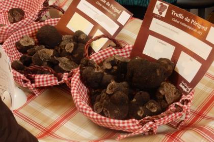 Marché contrôlé de producteurs locaux de truffes