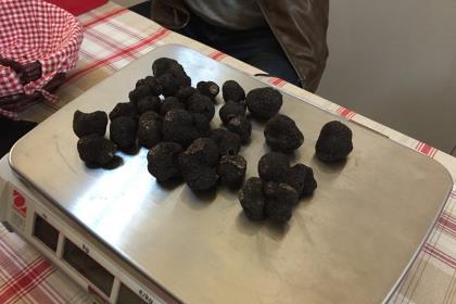 Marché contrôlé de producteurs locaux de truffes