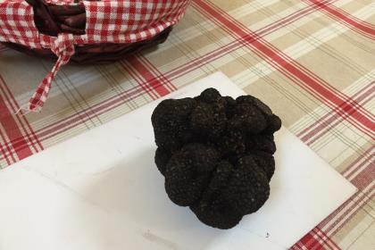 Marché contrôlé de producteurs locaux de truffes