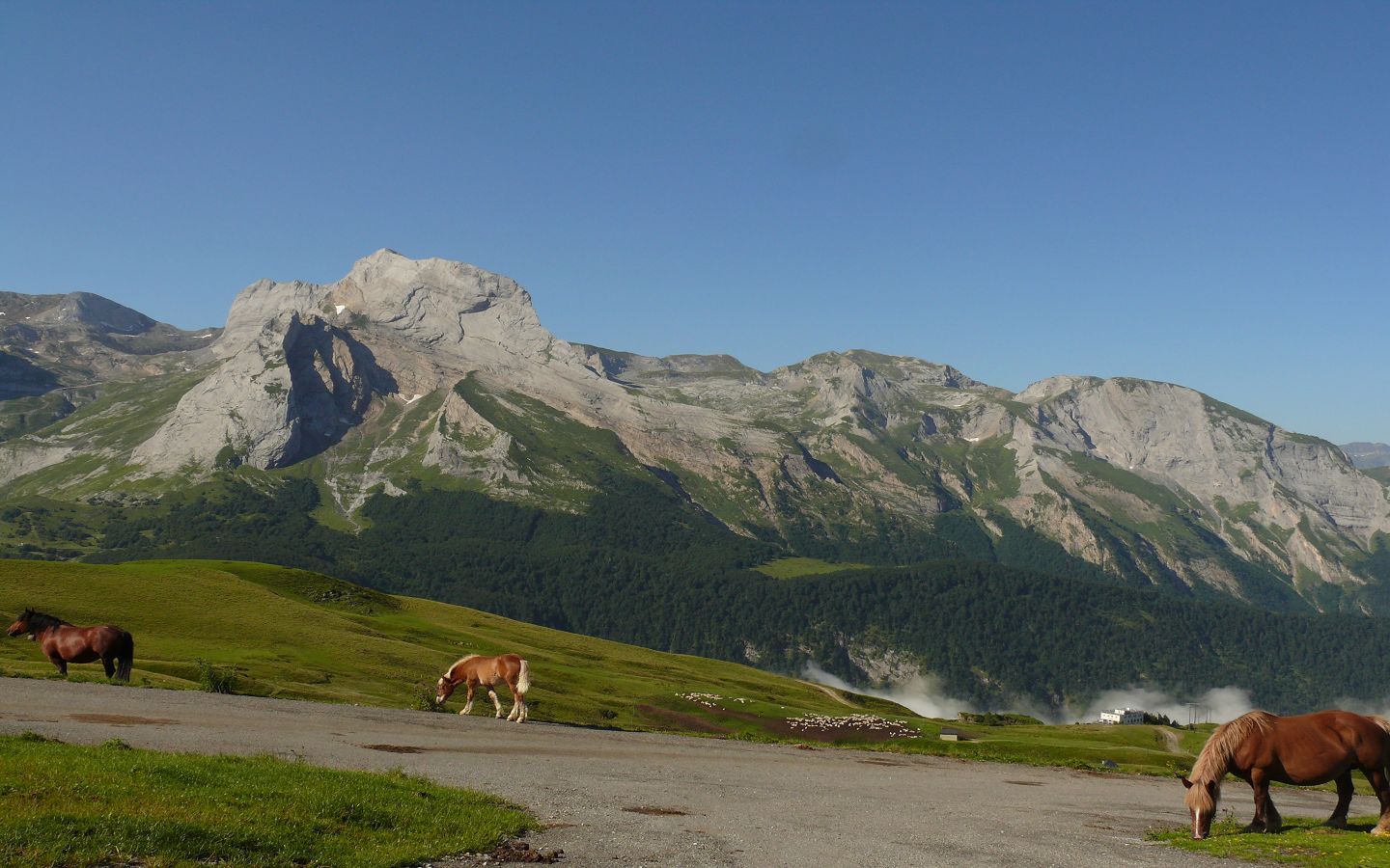 La descente Col d'Aubisque/Louvie-Soubiron