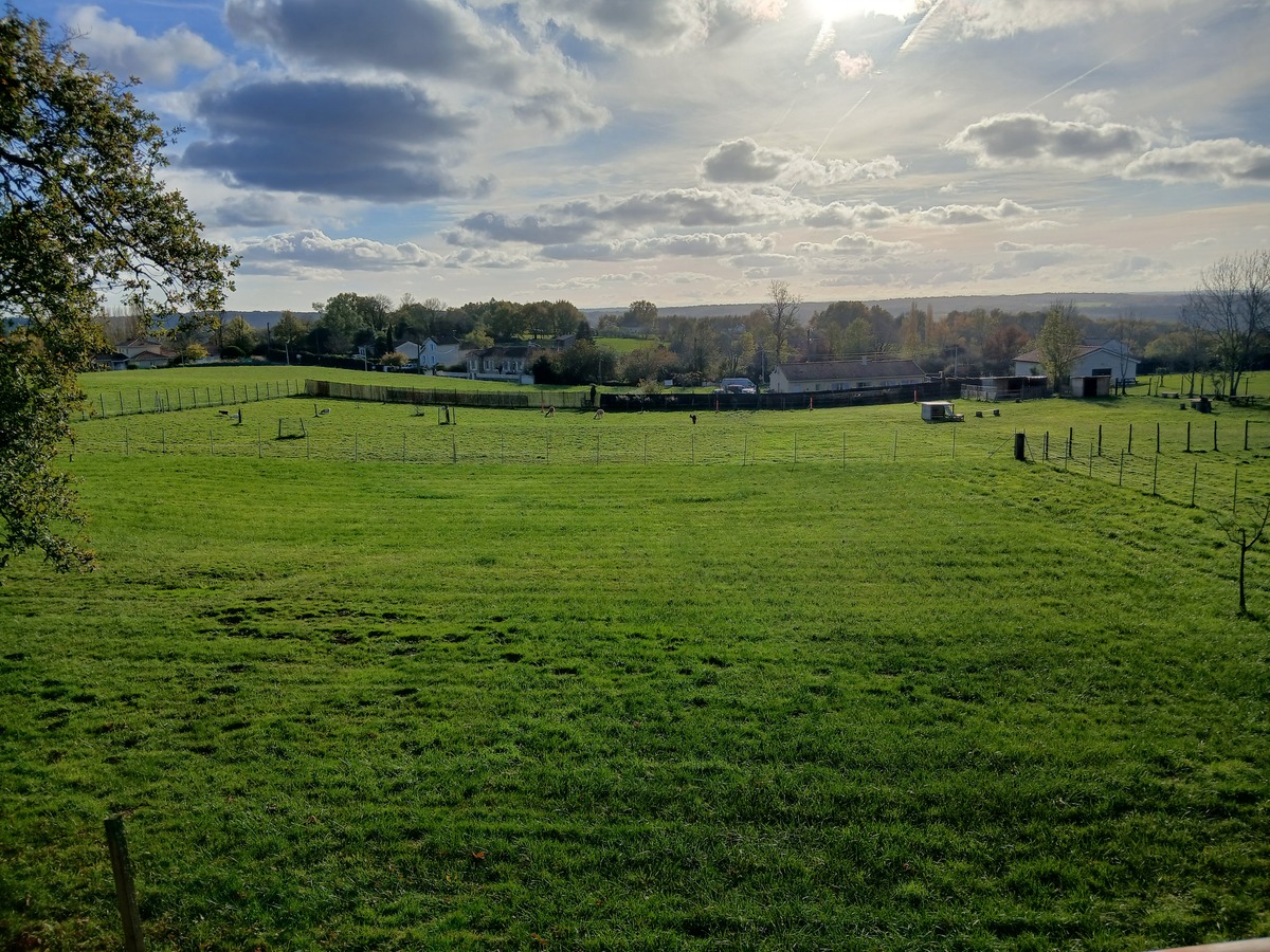 La Manganèse