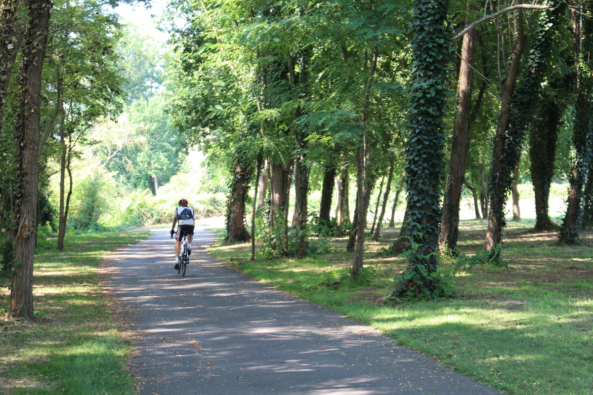 Vélo parade