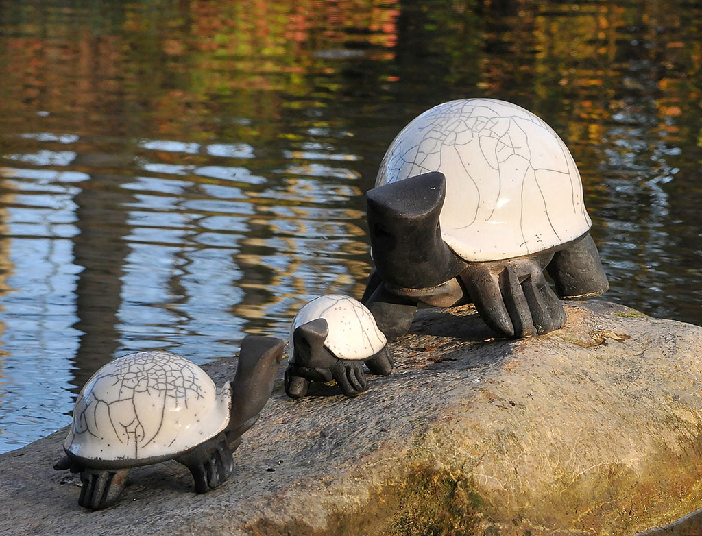 Les Tortues de la Paix- Caroline Vernet