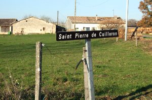 Vestiges de la chapelle Saint-Pierre de Guilleron
