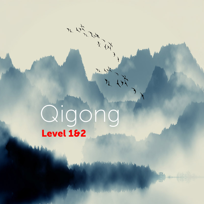 Stage Qigong 1 et 2 - corps paisible et esprit paisible