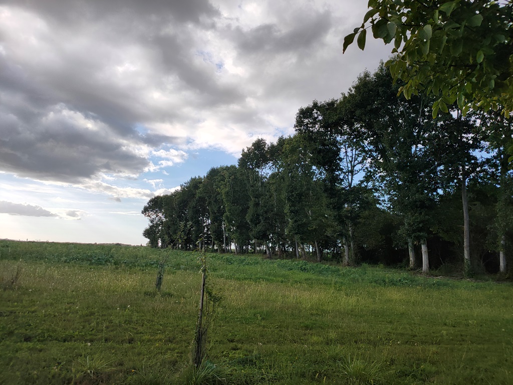Aux gîtes de Bibens