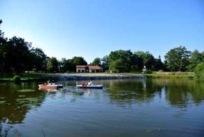 Patylandes