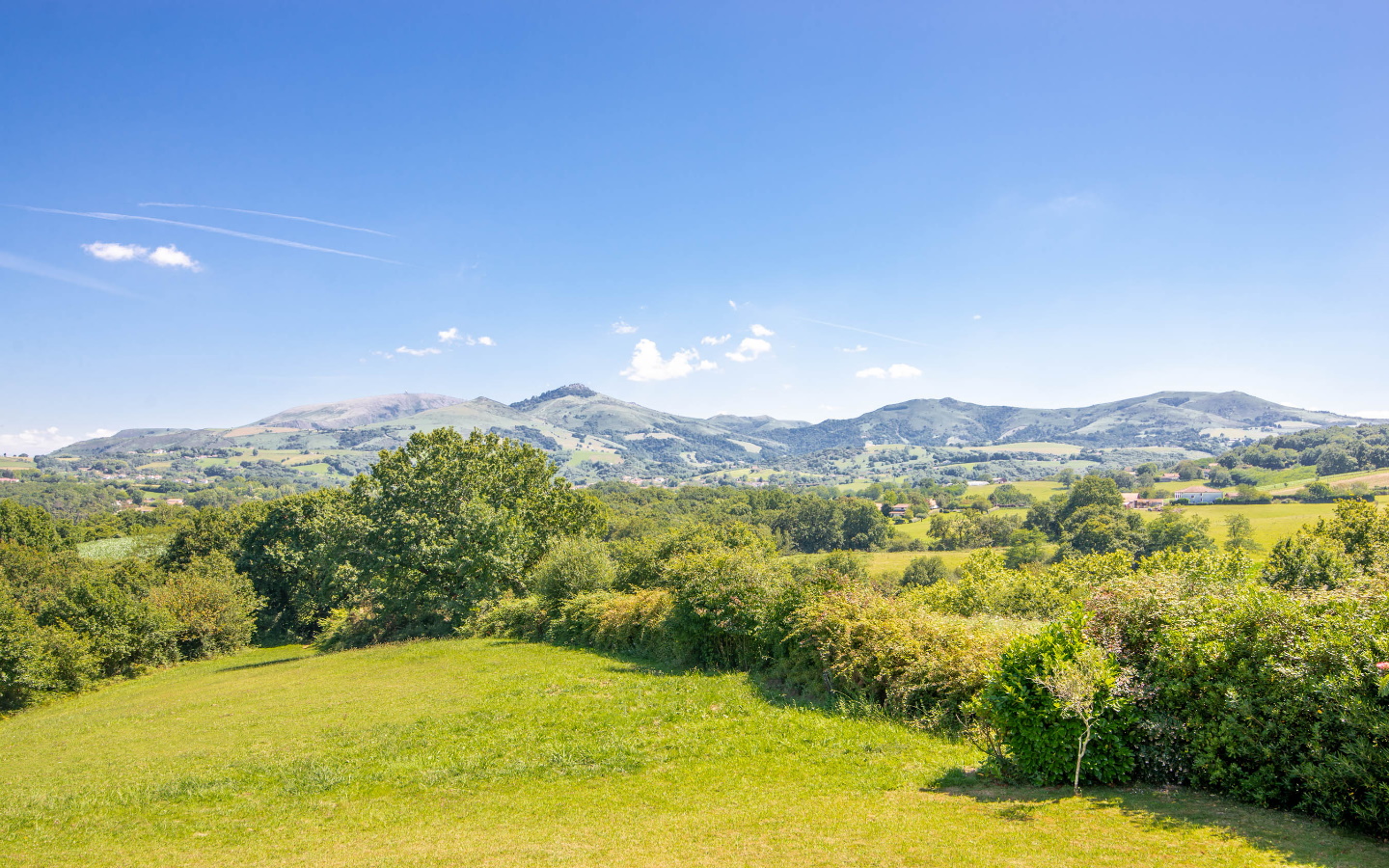 Irazabala