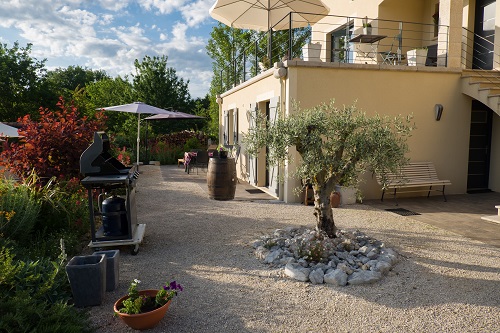 Domaine de L'Ancien Vignoble - L'Olive