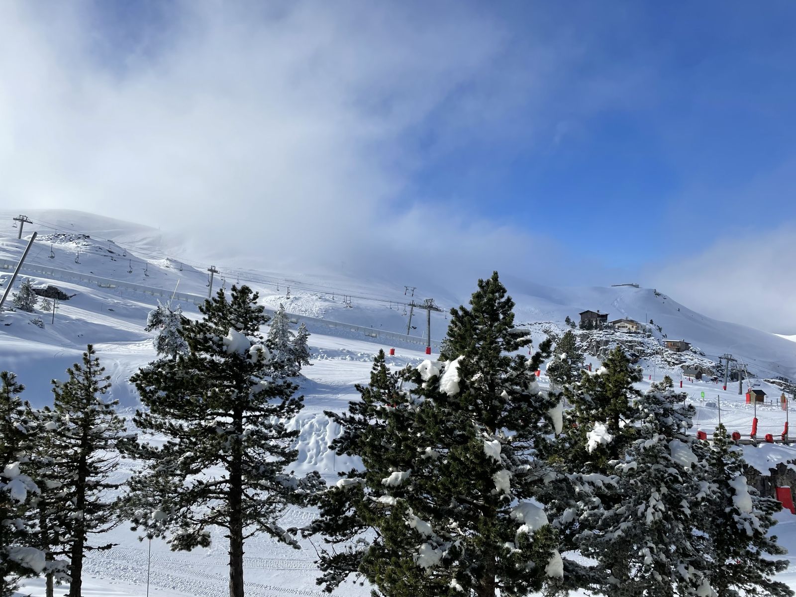 Les marmottes