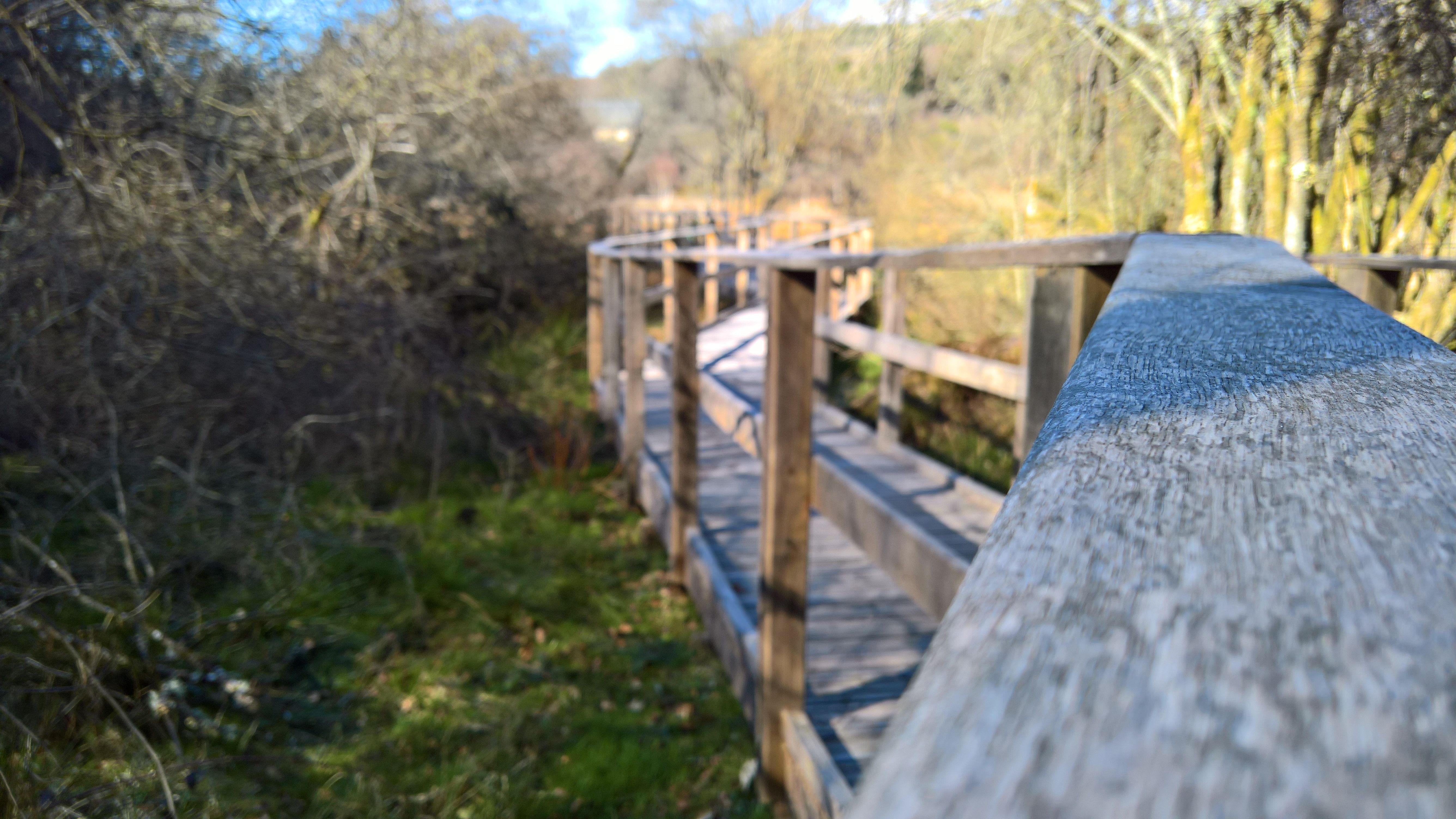 Sentier d'interprétation des Merlettes