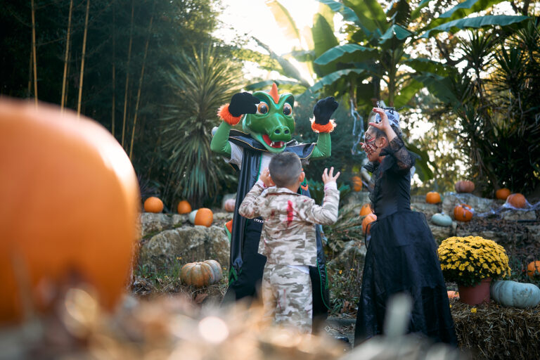 Walloween